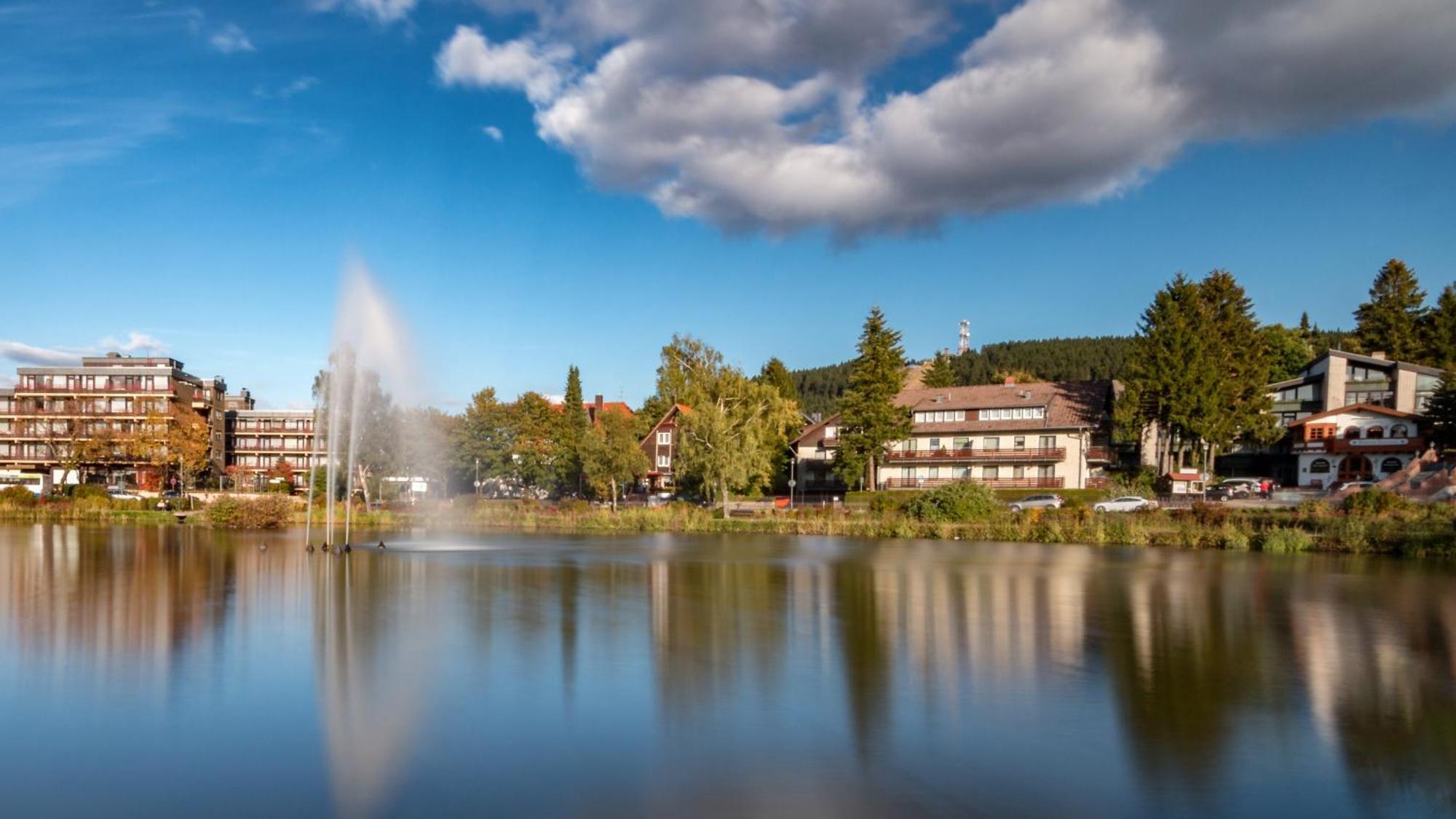 Modern & Vintage Bocksbergblick Ferienpark Hahnenklee Goslar Eksteriør billede